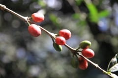 IMG_6281