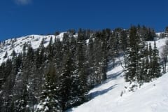 DSCN1727