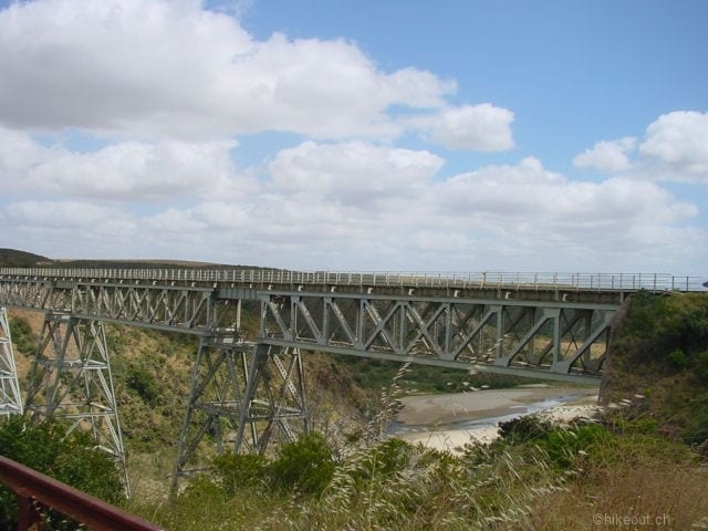 DSC05355