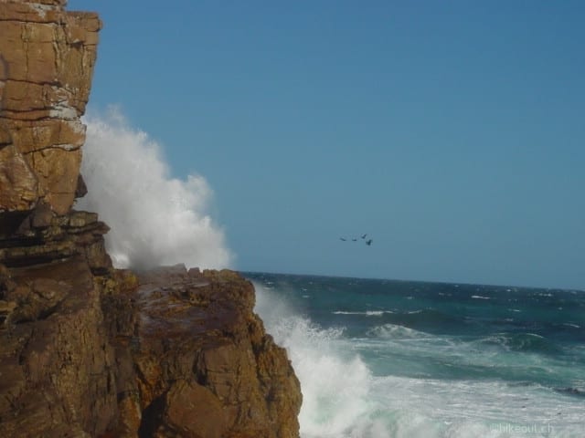 DSC05542