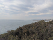 IMG_20200225_123008