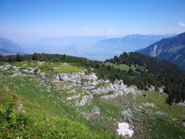 Wildhus – Gamserrug