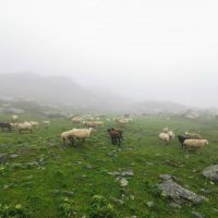 5 Seen Regen-Wanderung Pizol