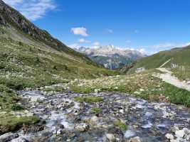 Camping Morteratsch – Alp Languard – Muottas Muragl