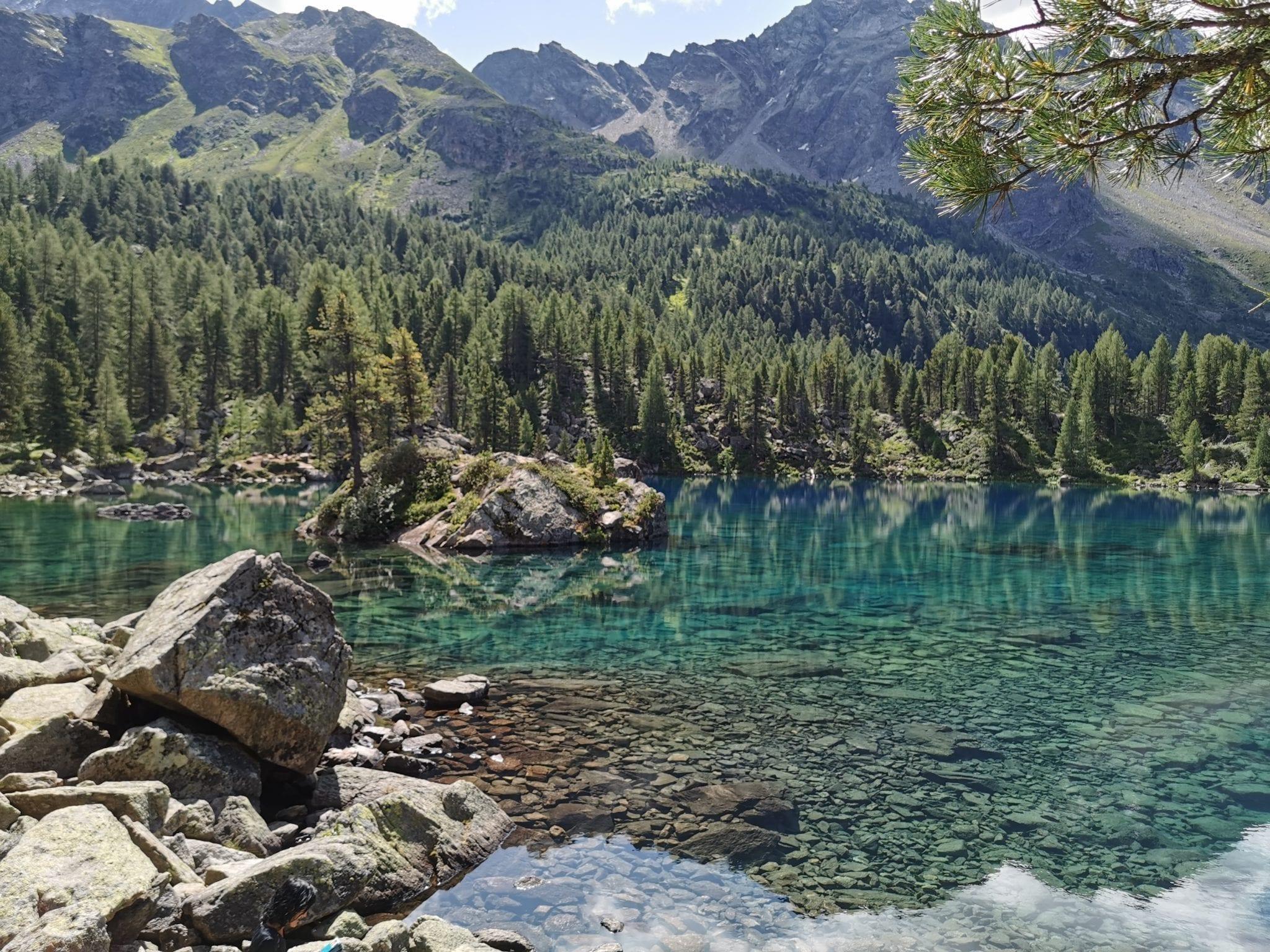 Von der Alp Camp zum Berninahospitz