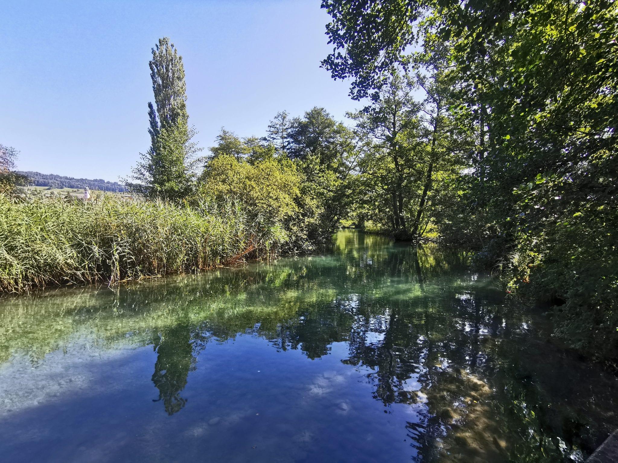 Hallwilersee Rundwanderung