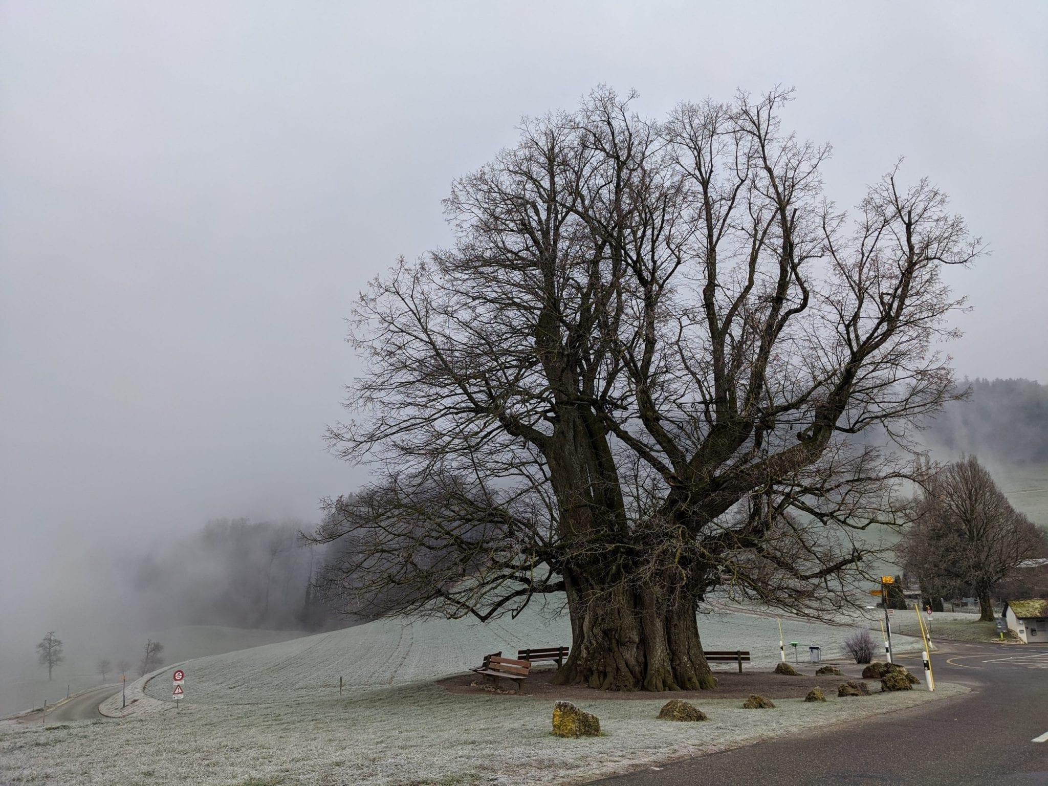 Brugg – Staffelegg