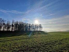 Brugg – Cheisacherturm – Brugg