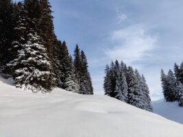 Schneeschuh Rundwanderung Grüsch