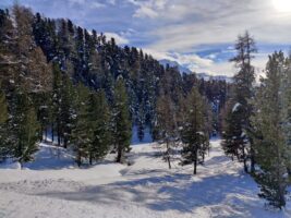 Schneeschuwanderung Sils – Güvè – Fex Crasta – Silvaplana – St. Moritz