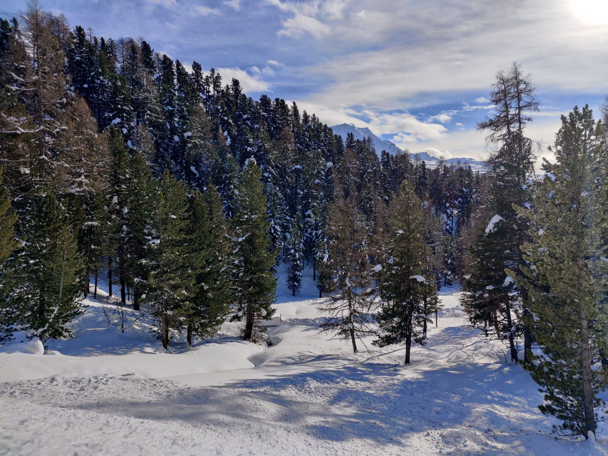 Schneeschuwanderung Sils – Güvè – Fex Crasta – Silvaplana – St. Moritz